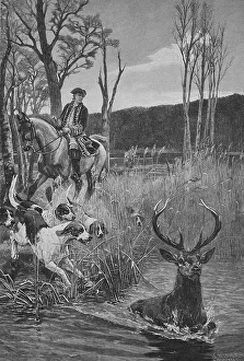 On the par force hunt, hunters and hounds have driven a stag into the lake