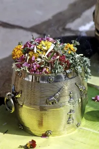 Para offering one full measure of paddy to lord in Pooram festival in Thrissur Trichur