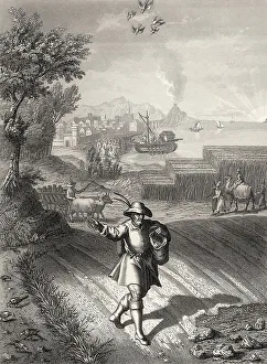 Parable of the sower, New Testament