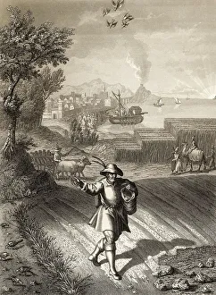 Parable of the sower, New Testament