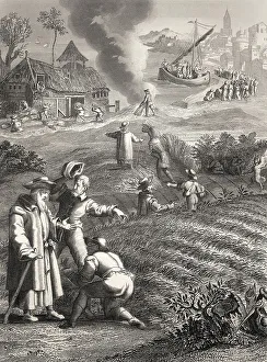 The Parable of the Weeds, New Testament