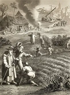 The Parable of the Weeds, New Testament