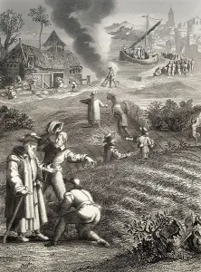 The Parable of the Weeds, New Testament