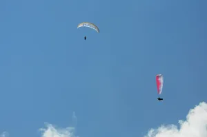 Paraglider