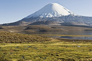 Parinacota volcano, Lauca national park