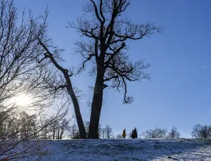 Park Babelsberg, winter impressions