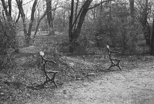 Park bench without wood, wood theft