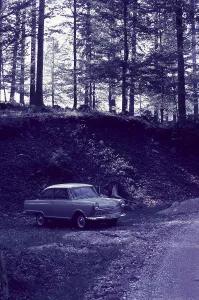 Passenger car, DKW Junior in the forest