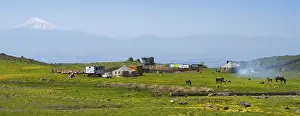 Pasture landscape with horses, tents and views of Mount Ararat in the background