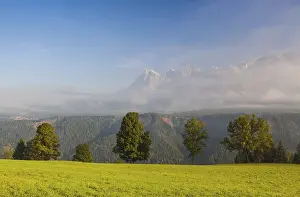 On pasture in the mountains