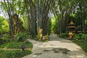 Path in bamboo forest brove in Wangjiang Pavilion (Wangjiang Tower) Wangjianglou Park