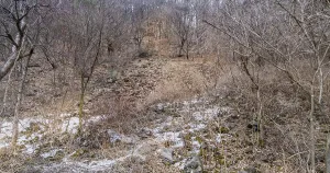 Path made of granite stones