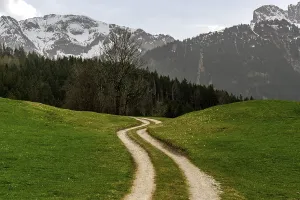Path through meadows, near Pfronten