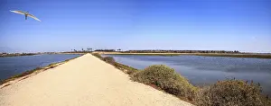 Path along the peaceful and tranquil marsh of Bolsa Chica wetlands in Huntington Beach