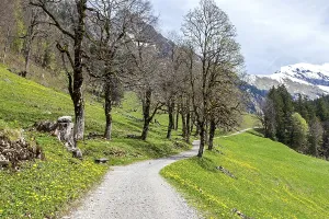 Path with tree-lined avenue, near the historic farming village of Gerstruben