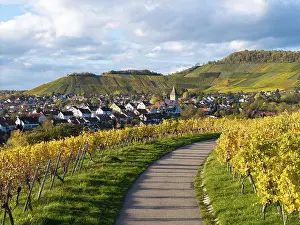 Path through vineyards leads to a village with church tower