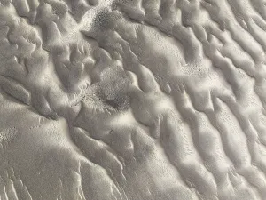 Patterns in the sand of the Namib Desert