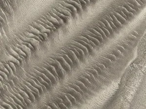 Patterns in the sand of the Namib Desert