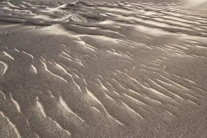 Patterns in the sand of the Namib Desert