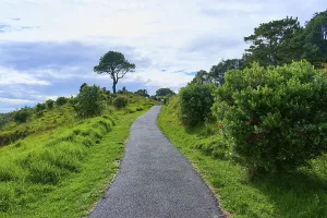 A paved path leads through a green landscape with a prominent tree under a cloudy sky