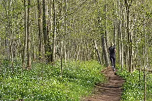 Peaceful forest scene with a young woman jogging along a path surrounded by fresh spring greenery with bright green