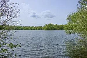 A peaceful lake surrounded by trees