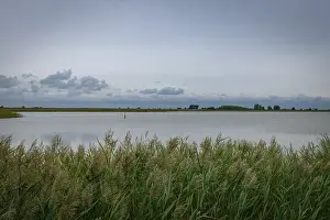 Peaceful landscape with reeds and lake under a cloudy sky