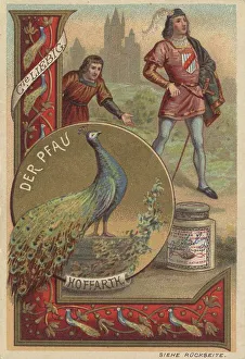 The Peacock for Courage, Boastfulness