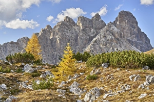 Three Peaks nature park Park, Autumn