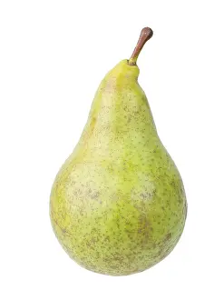 Pear Variety Conference, cut out