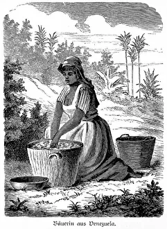Peasant woman, harvest, basket