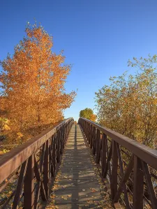 A pedestrian walkway leads past deciduous tress in beautiful autumn colors