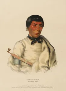 Pee-Che-Kir, A Chippewa Chief (1843)
