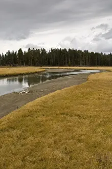 Pelican Creek, Yellowstone National Park