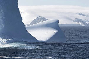 Penguins on iceberg, Antarctica