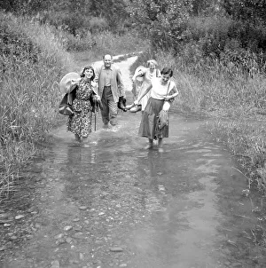 People cross the brook, walkers in the forest