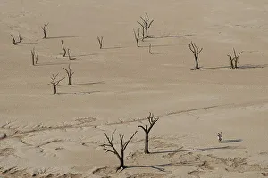 Three people in the desert, Dead Vlei