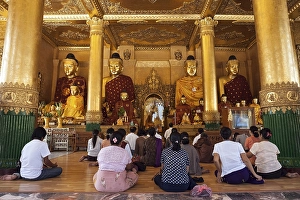 People meditating in front of Buddha statues