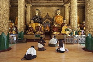 People meditating in front of Buddha statues