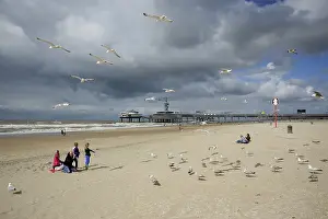 People and seagulls on the beach