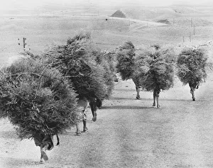People transporting firewood