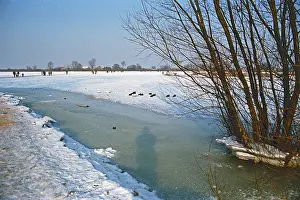 People walk across ice rink, trees