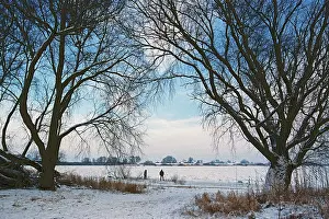 People walk across ice rink, trees