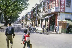 People walling and cycles in tree lined street with small shops