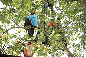 People watching boat race from tree tops on punnamada lake