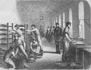 People working in a bakery, kneading dough