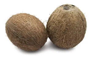 Perfect fresh coconut isolated on white background