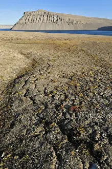 Permafrost and arctic tundra at Maxwell Bay