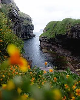 Person in a gorge near Gjogv with flowers