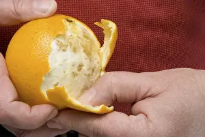 A person in the process of peeling an orange